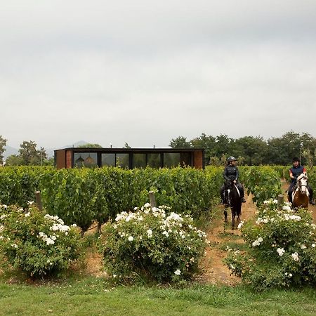 Vibo Wine Lodge At Viu Manent ซานตาครูซ ภายนอก รูปภาพ