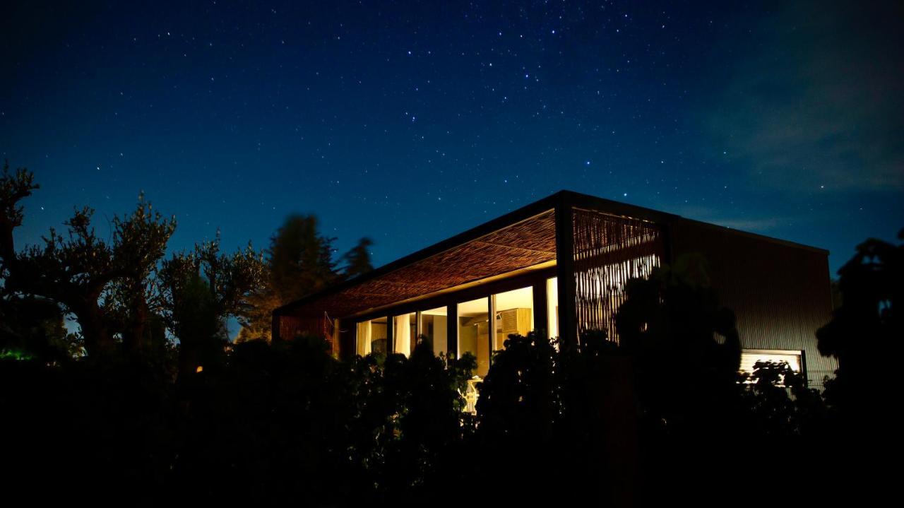 Vibo Wine Lodge At Viu Manent ซานตาครูซ ภายนอก รูปภาพ