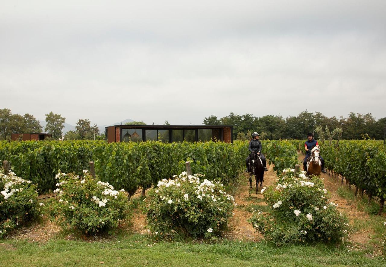 Vibo Wine Lodge At Viu Manent ซานตาครูซ ภายนอก รูปภาพ