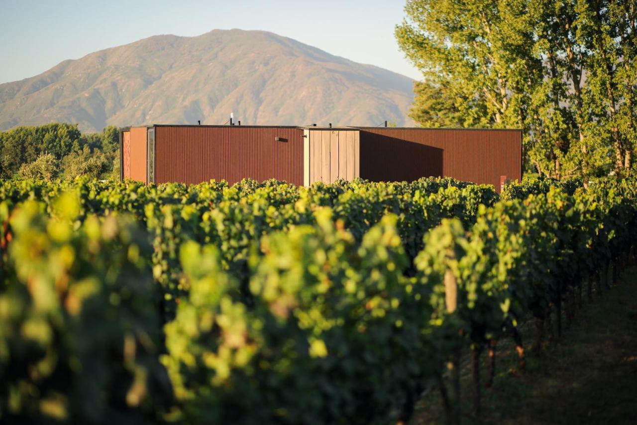 Vibo Wine Lodge At Viu Manent ซานตาครูซ ภายนอก รูปภาพ