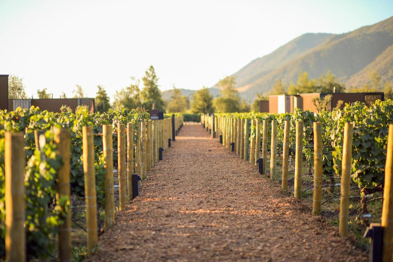 Vibo Wine Lodge At Viu Manent ซานตาครูซ ภายนอก รูปภาพ